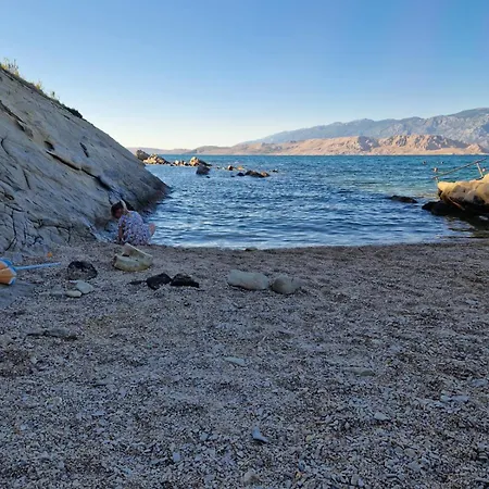 Dolphin House